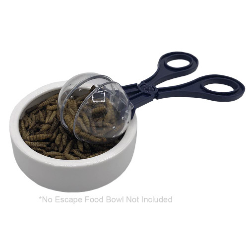 Bug Scooper Bug Scooper