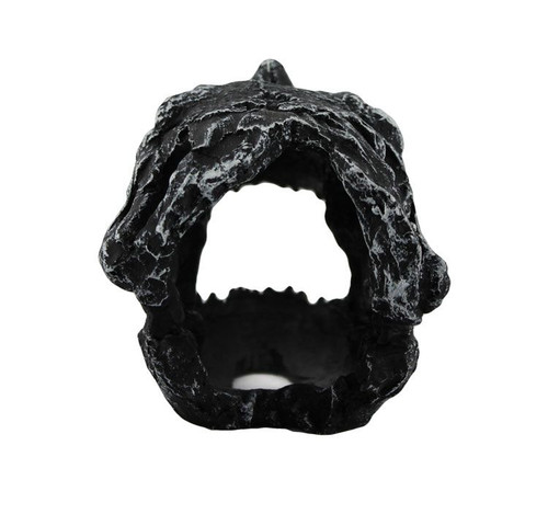 Dinosaur Skull Cave Dinosaur Skull Cave