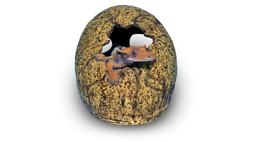 Human Skull Cave Human Skull Cave