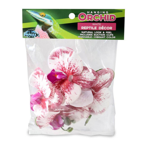 Pangea Hanging Orchid - White Pangea Hanging Orchid - White