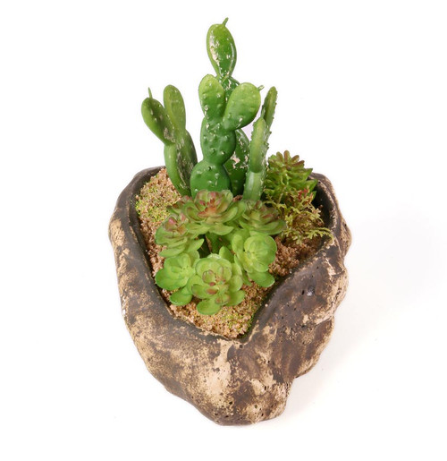 Pangea Succulent Garden #4 Pangea Succulent Garden #4