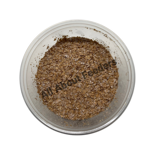 Superworms Superworms