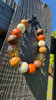 Beaded Dog Collar Slip-on Harvest Ball Glossy Harvest Collection | Dainty Days — view 1