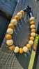 Beaded Dog Collar Slip-on Woodmate Nature Collection | Dainty Days — view 4