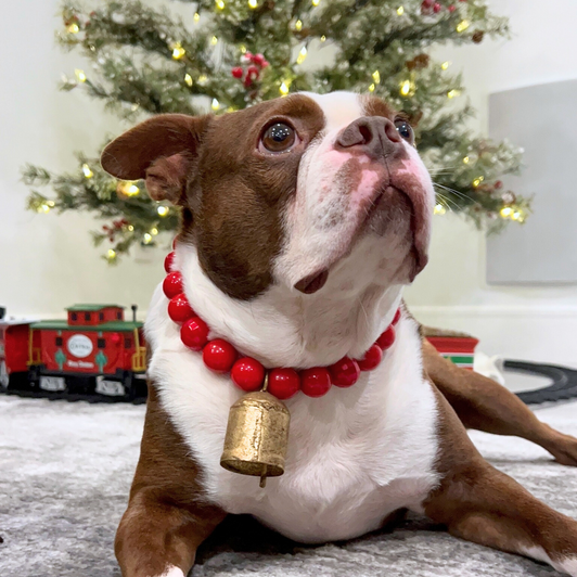 Beaded Dog Collar Slip-on Max’s Collar Grinch Christmas Collection | Dainty Days — view 9