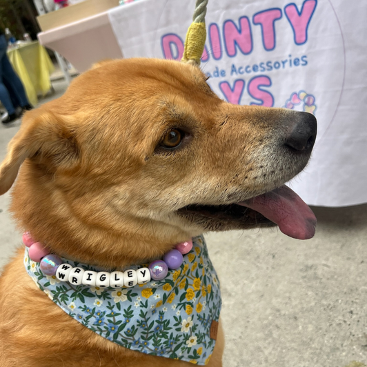 Beaded Dog Collar Slip-on Teal Pink Shine Glossy Timeless Collection | Dainty Days — view 7