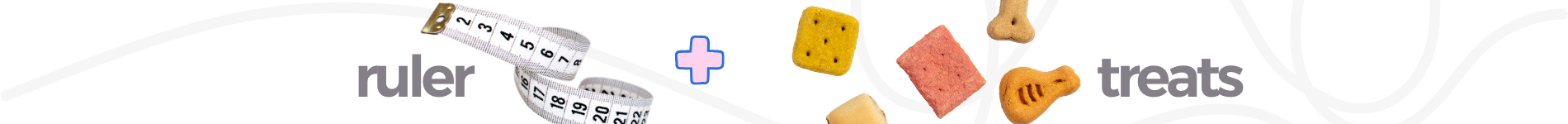 step-treats.png