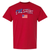 Cheshire Stars and Stripes T-Shirt