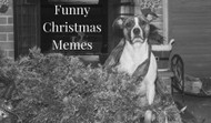 7 Funny Christmas Memes to make you laugh