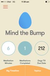 Mind The Bump App Review