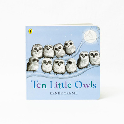 Renee Treml Ten Little Owls Bedtime Counting Board Book