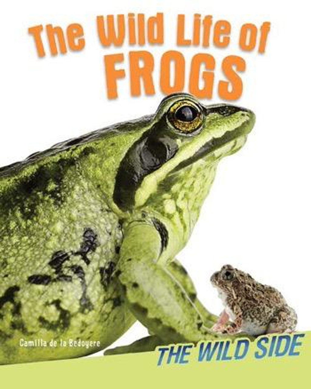 Buy The Wild Life of Frogs in Bulk