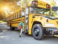 Did You Know: Why School Buses are Yellow