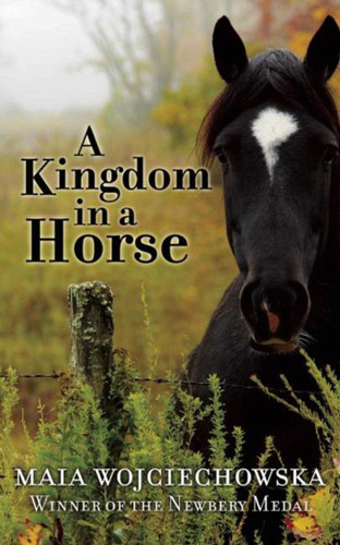 A Kingdom in a Horse - 9781510703834 by Maia Wojciechowska, 9781510703834
