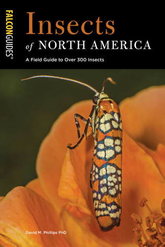 Insects of North America (A Field Guide to Over 300 Insects) by David M. Phillips, 9781493039234