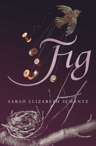 Fig by Sarah Elizabeth Schantz, 9781481423588