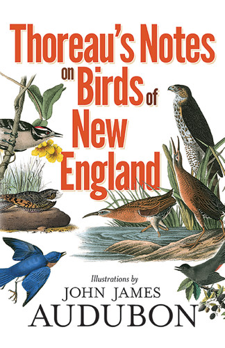 Thoreau's Notes on Birds of New England by Henry David Thoreau, Francis H. Allen, 9780486833842