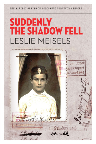 Suddenly the Shadow Fell by Leslie Meisels, 9781897470428