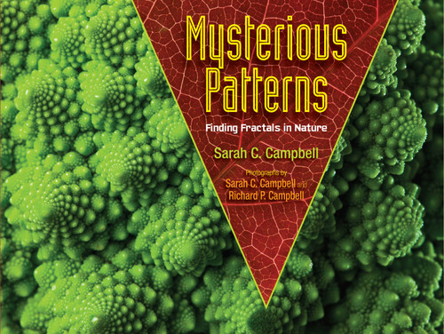 Mysterious Patterns (Finding Fractals in Nature) by Sarah C. Campbell, Richard P. Campbell, 9781620916278