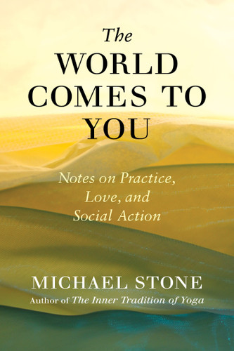 The World Comes to You (Notes on Practice, Love, and Social Action) by Michael Stone, 9781611806113