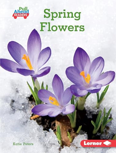 Spring Flowers by Katie Peters, 9781541558700