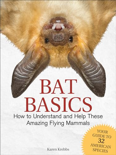 Bat Basics (How to Understand and Help These Amazing Flying Mammals) by Karen Krebbs, 9781591938439