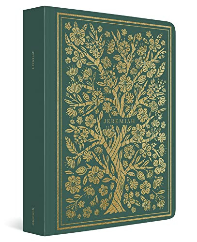 ESV Illuminated Scripture Journal (Jeremiah (Paperback)) by , 9781433569173