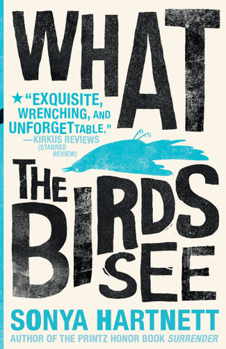 What the Birds See - 9781536208818 by Sonya Hartnett, 9781536208818