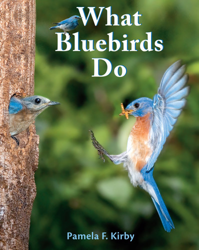 What Bluebirds Do by Pamela F. Kirby, 9781620915936