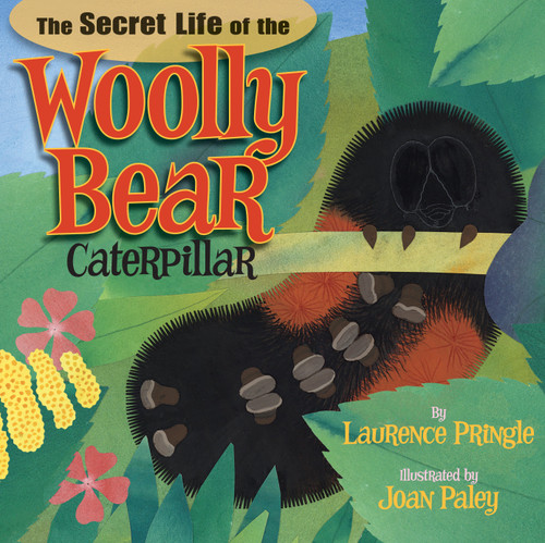 The Secret Life of the Woolly Bear Caterpillar by Laurence Pringle, Joan Paley, 9781620910009