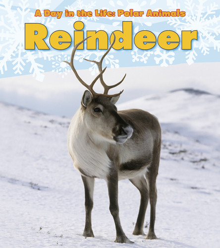 Reindeer - 9781432953379 by Katie Marsico, 9781432953379