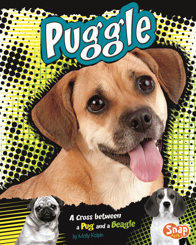 Puggle (A Cross Between a Pug and a Beagle) by Molly Kolpin, Tanya Dewey, 9781429676656