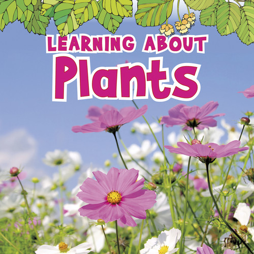 Learning About Plants - 9781410954060 by Catherine Veitch, 9781410954060
