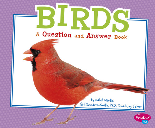 Birds (A Question and Answer Book) - 9781491406298 by Gail Saunders-Smith, Isabel Martin, 9781491406298