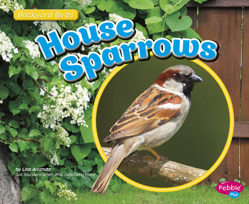 House Sparrows - 9781491461136 by Gail Saunders-Smith, Lisa J. Amstutz, 9781491461136