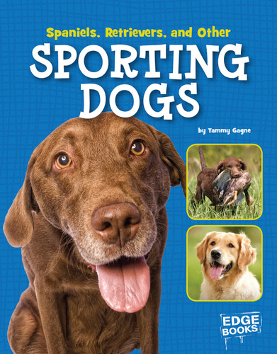 Spaniels, Retrievers, and Other Sporting Dogs by Tammy Gagne, 9781515703051