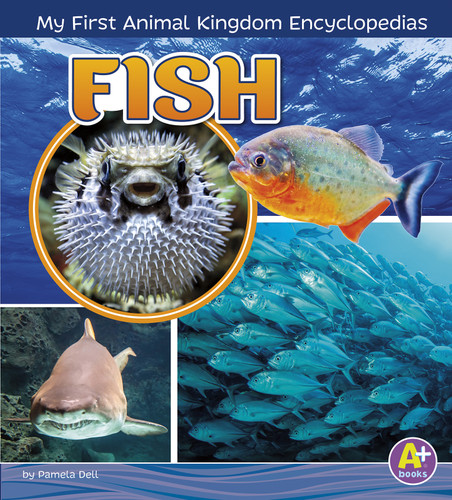 Fish - 9781515739296 by Lisa J. Amstutz, 9781515739296