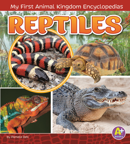 Reptiles - 9781515739395 by Janet Riehecky, 9781515739395