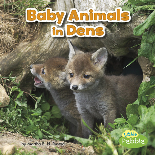 Baby Animals in Dens by Martha E. H. Rustad, 9781515738305