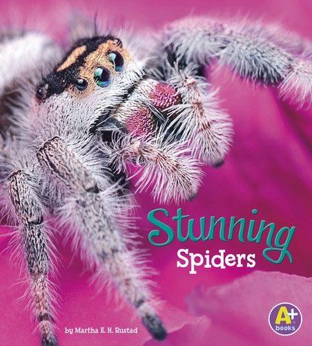 Stunning Spiders by Martha E. H. Rustad, 9781515745006