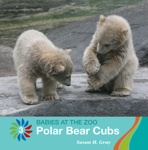Polar Bear Cubs - 9781534158962 by Susan H. Gray, 9781534158962