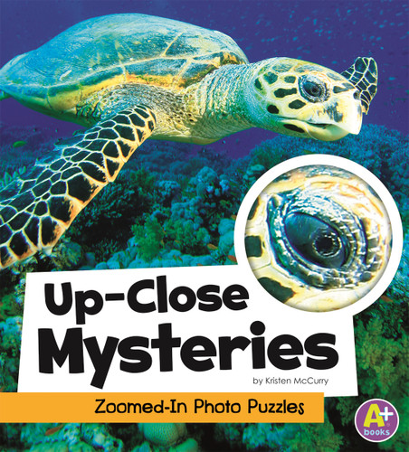 Up-Close Mysteries (Zoomed-In Photo Puzzles) by Kristen McCurry, 9781429675505