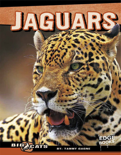 Jaguars - 9781429676427 by Tammy Gagne, Zoological Society of San Diego, 9781429676427