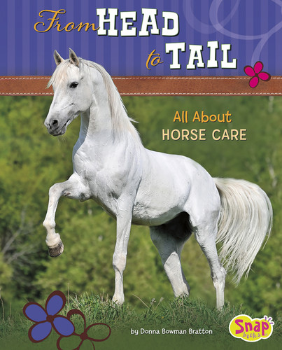 From Head to Tail (All About Horse Care) by Donna Bowman Bratton, 9781491407097