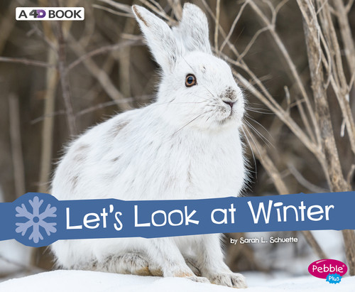 Let's Look at Winter (A 4D Book) - 9781543508734 by Sarah L. Schuette, 9781543508734