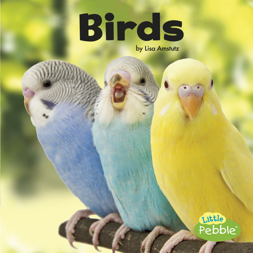 Birds - 9781543501629 by Lisa J. Amstutz, 9781543501629