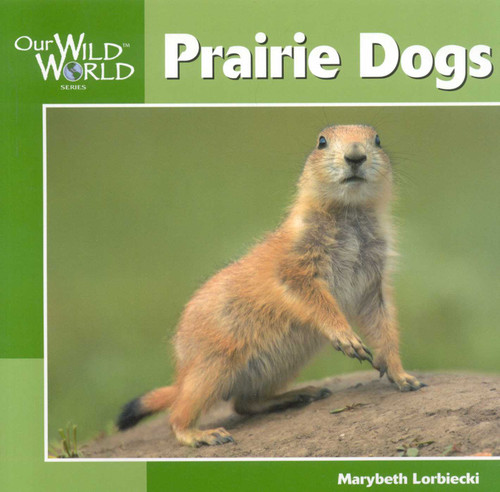 Prairie Dogs - 9781559718844 by Marybeth Lorbiecki, 9781559718844