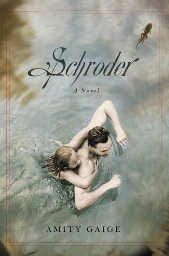 Schroder (A Novel) - 9781455512133 by Amity Gaige, 9781455512133