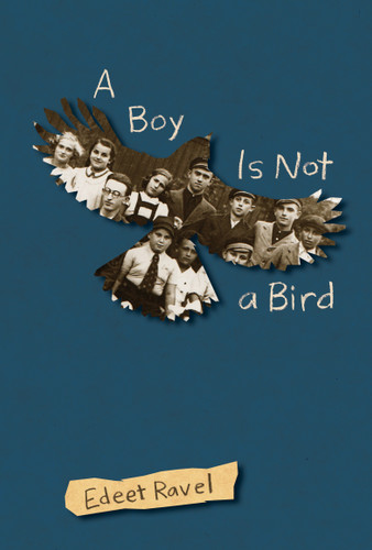 A Boy Is Not a Bird by Edeet Ravel, 9781773061740