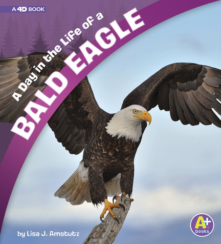 A Day in the Life of a Bald Eagle (A 4D Book) by Lisa J. Amstutz, 9781543515183